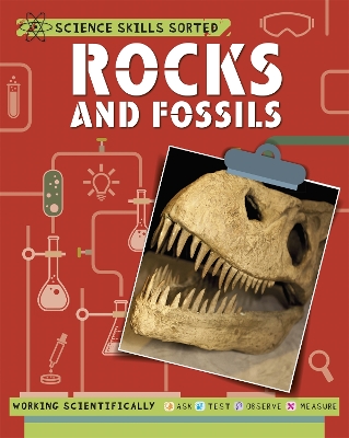 Book cover for Science Skills Sorted!: Rocks and Fossils