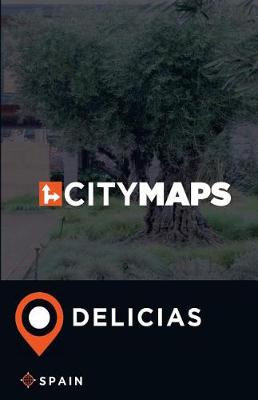 Book cover for City Maps Delicias Spain