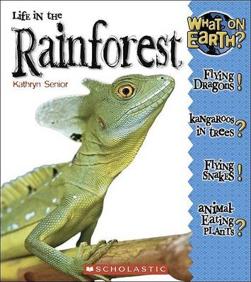 Book cover for Life in a Rain Forest