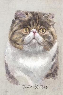 Book cover for Exotic Shorthair Cat Portrait Notebook