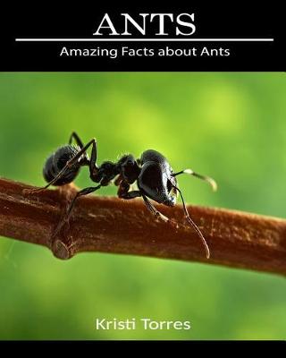 Cover of Amazing Facts about Ants