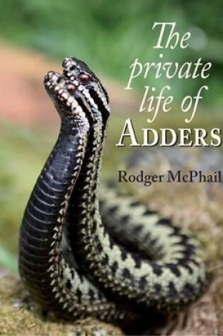 Cover of Private Life of Adders