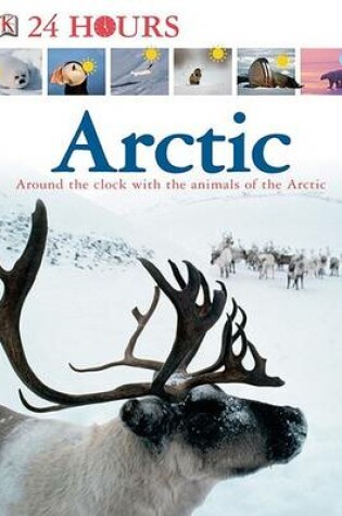 Cover of Arctic