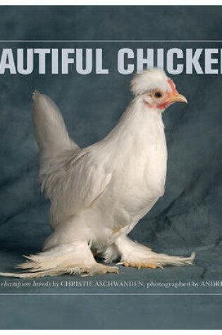 Cover of Beautiful Chickens