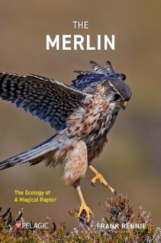 Cover of The Merlin