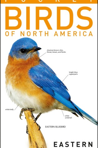 Cover of American Museum of Natural History: Pocket Birds of North America, Eastern Region