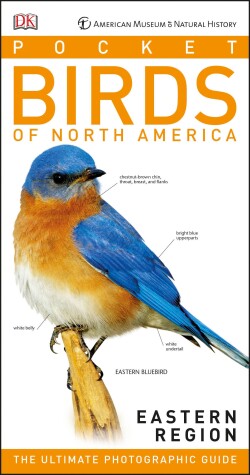 Book cover for American Museum of Natural History: Pocket Birds of North America, Eastern Region