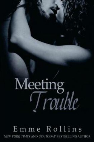 Cover of Meeting Trouble