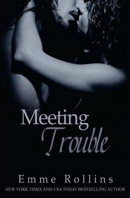 Book cover for Meeting Trouble