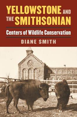 Book cover for Yellowstone and the Smithsonian