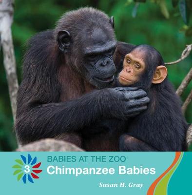 Book cover for Chimpanzee Babies