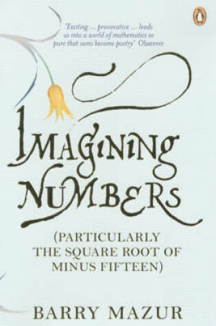 Cover of Imagining Numbers