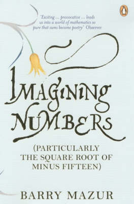 Book cover for Imagining Numbers