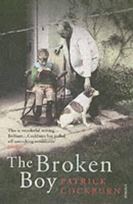 Book cover for The Broken Boy