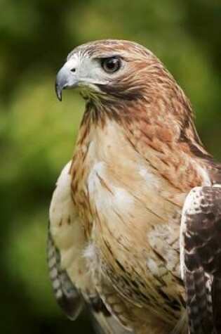 Cover of Red-Tailed Hawk Portrait Journal