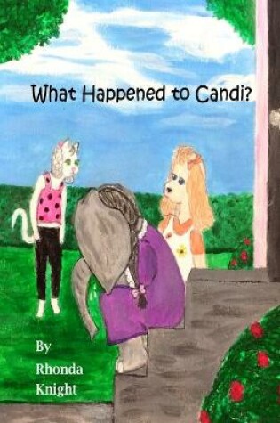 Cover of What Happened to Candi?