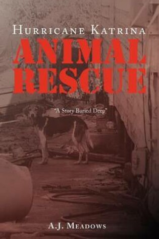 Cover of Hurricane Katrina Animal Rescue