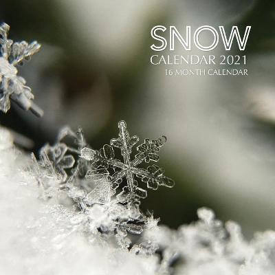 Book cover for Snow Calendar 2021