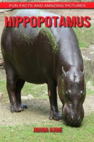 Cover of Hippopotamus