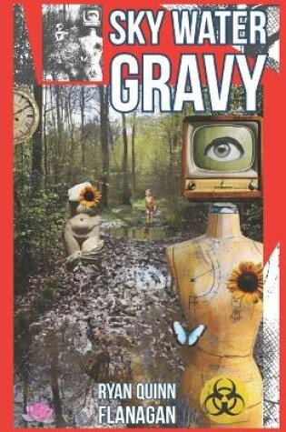 Cover of Sky Water Gravy