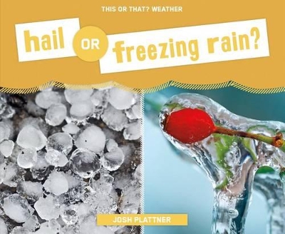 Cover of Hail or Freezing Rain?