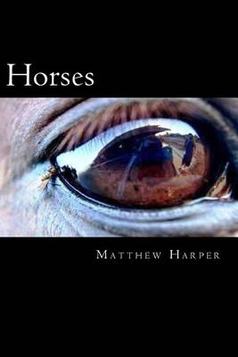 Book cover for Horses