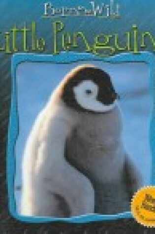 Cover of Little Penguins