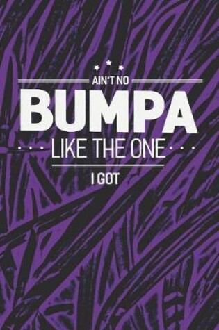 Cover of Ain't No Bumpa Like The One I Got