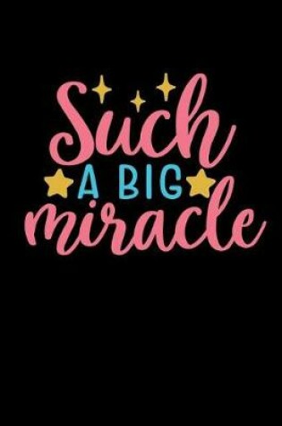 Cover of Such A Big Miracle