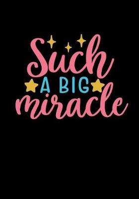 Book cover for Such A Big Miracle