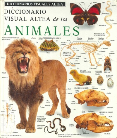 Book cover for Animales-Animals (Diccionarios Visuales Altea-Visual Dictionary)