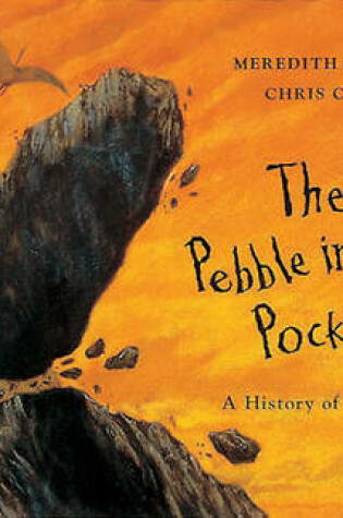 Cover of The Pebble in my Pocket