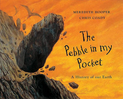 Book cover for The Pebble in my Pocket