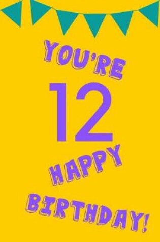 Cover of You're 12 Happy Birthday!