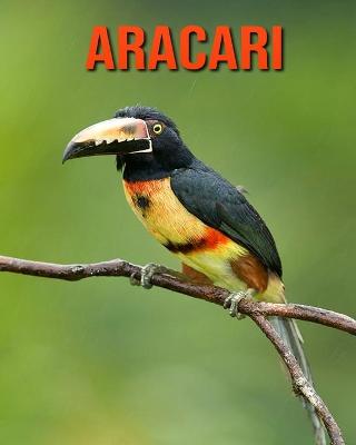 Book cover for Aracari