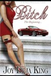 Book cover for Bitch the Beginning