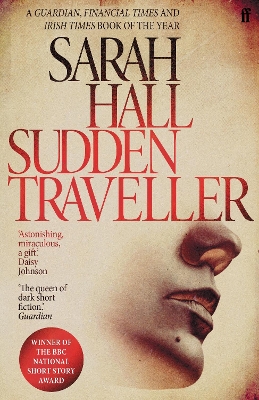 Book cover for Sudden Traveller