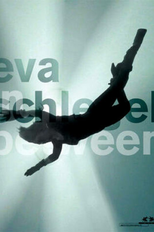 Cover of Eva Schlegel