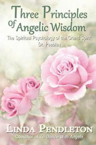 Cover of Three Principles of Angelic Wisdom