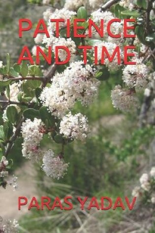 Cover of Patience and Time