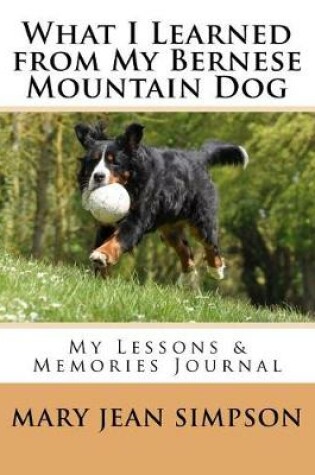 Cover of What I Learned from My Bernese Mountain Dog