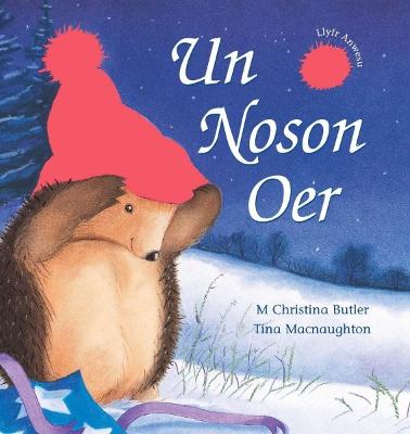 Book cover for Cyfres Draenog Bach: Un Noson Oer