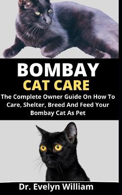 Book cover for Bombay Cat Care