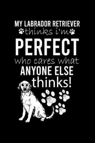 Cover of My Labrador Retriever Thinks I'm Perfect Who Cares What Anyone Else Thinks