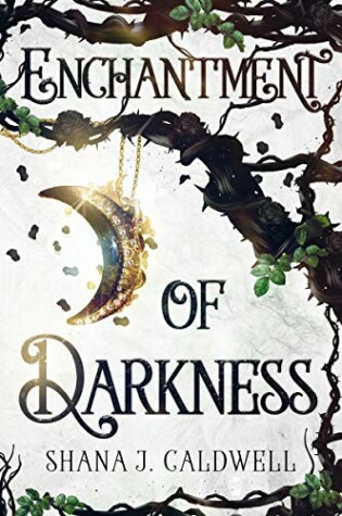 Cover of Enchantment of Darkness