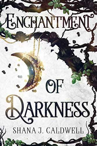 Book cover for Enchantment of Darkness