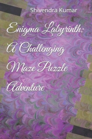 Cover of Enigma Labyrinth