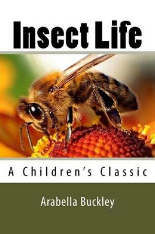 Cover of Insect Life