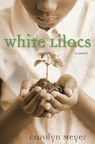 Cover of White Lilacs