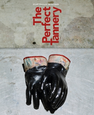 Book cover for The Perfect Tannery